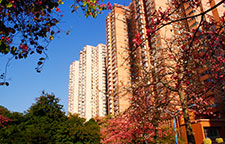 華科教育校園環(huán)境 華科教育校園環(huán)境