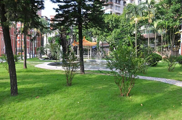 林蔭小道 林蔭小道