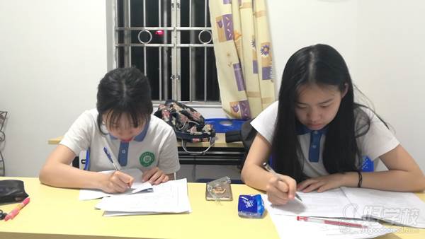 學生吳若玲和陳靖飛認真做題中 學生吳若玲和陳靖飛認真做題中