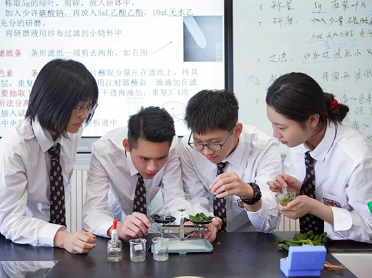 CDBBAFE2390E19D2EEE0B65674260C85.jpg CDBBAFE2390E19D2EEE0B65674260C85.jpg