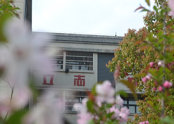 87484874.jpg 87484874.jpg